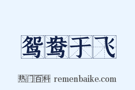 鸳鸯于飞是什么意思的图片